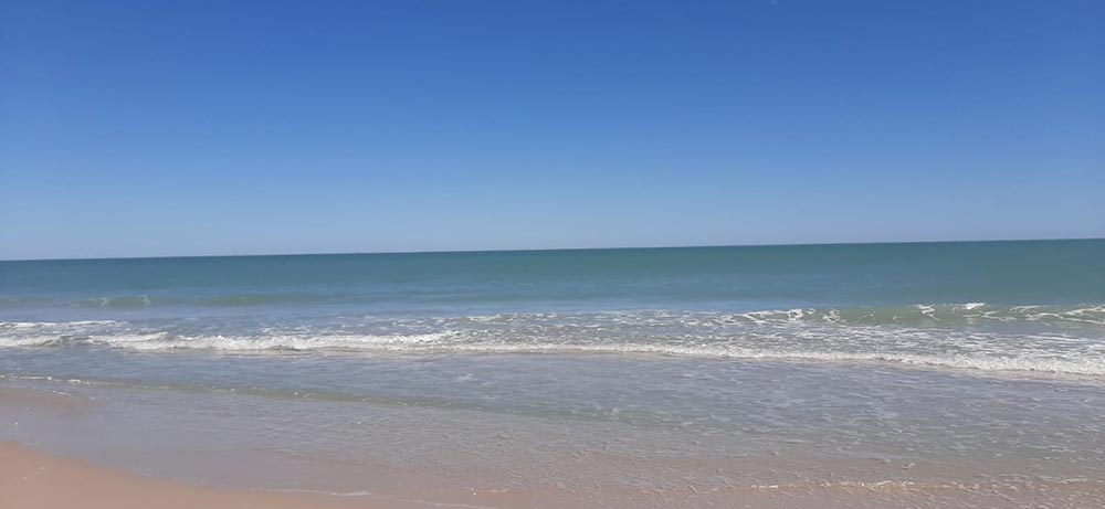 Promenade à la plage en Floride