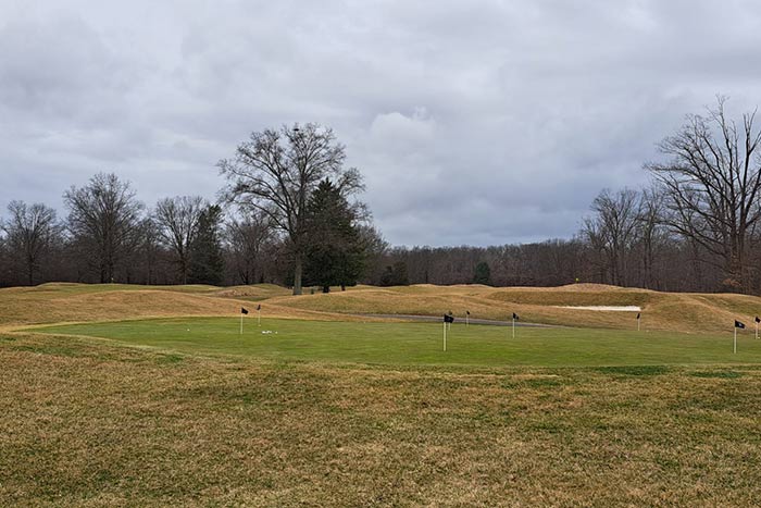 second putting green golf de Fiddler's